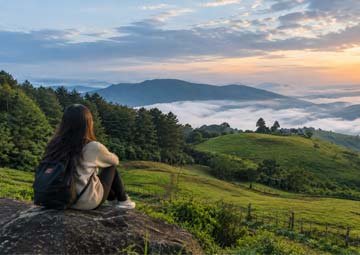 India’s Scenic South – Cities, Hills & Backwaters