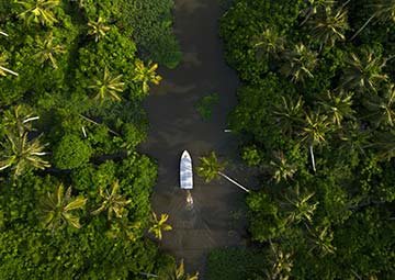 Kerala & Goa: Backwaters to Beaches Luxury Escape